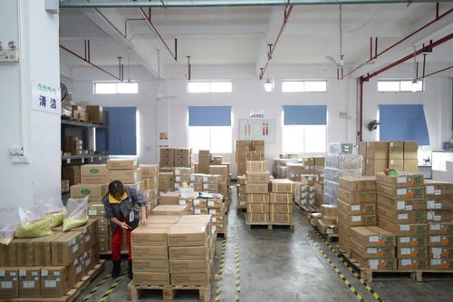 家門口的機遇 賓陽電子廠招工，提供食宿，探索互聯網銷售新方向