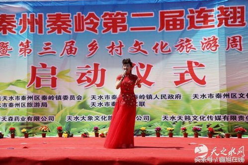 秦嶺連翹花開迎客來，秦州文旅融合繪新篇——第二屆連翹旅游節暨第三屆鄉村文化旅游周盛大啟幕