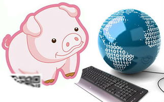 互聯網新聞與行情專題 愛豬網創新互聯網銷售模式